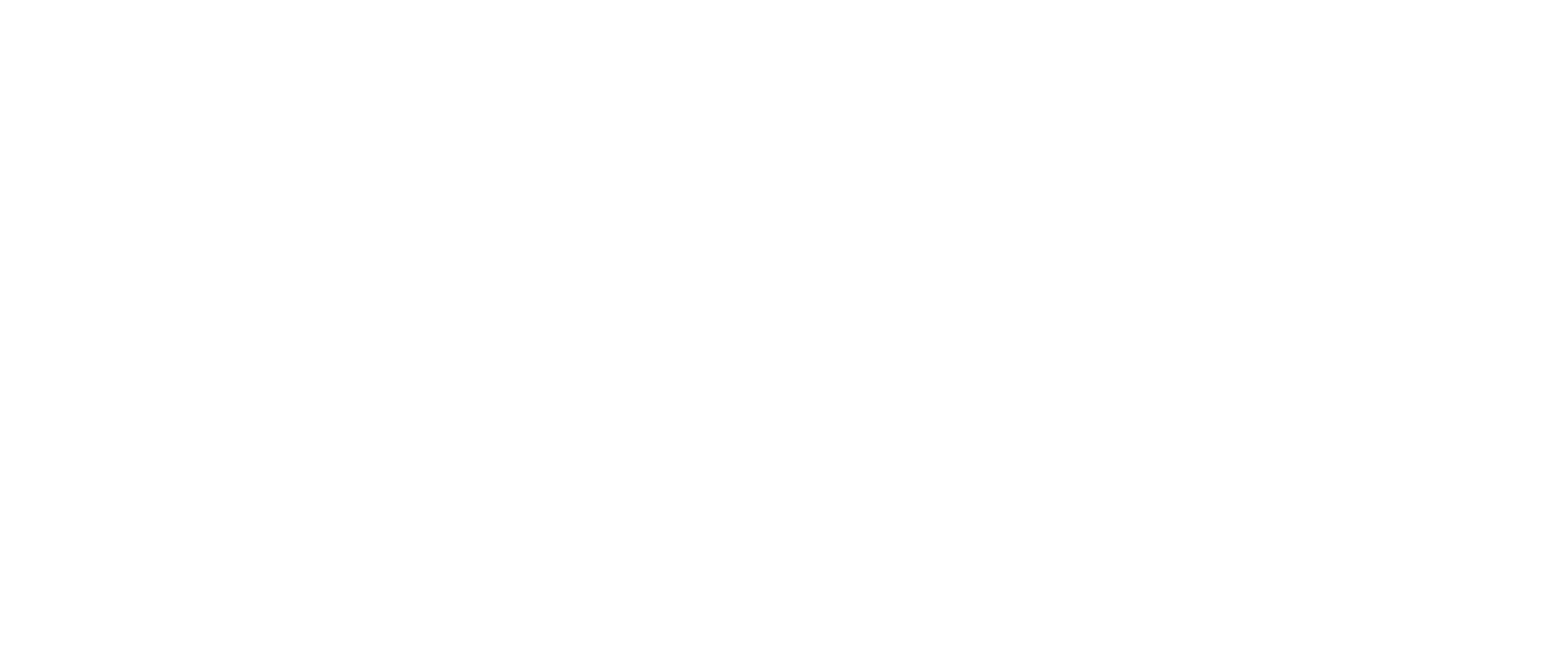 Fortune 09 Estates Logo
